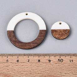 12Pcs 6 Styles Opaque Resin & Walnut Wood Pendants&nbsp;RESI-N053-21