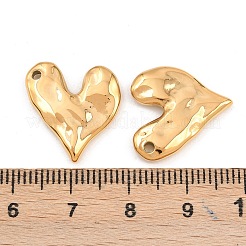 304 Stainless Steel Pendants&nbsp;STAS-H241-30G
