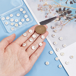 Natural Shell Beads&nbsp;SHEL-PH0001-53