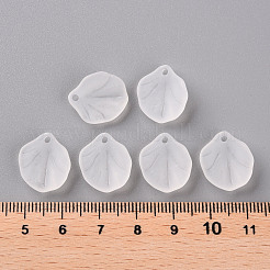 Transparent Frosted Acrylic Pendants&nbsp;MACR-S371-02A-701