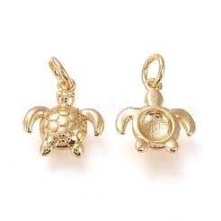 Brass Charms&nbsp;KK-L006-011G