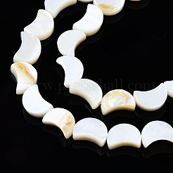 Natural Freshwater Shell Beads Strands&nbsp;SHEL-N026-151