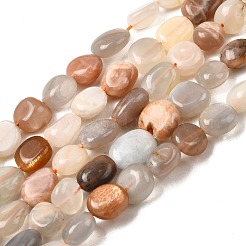 Natural Multi-Moonstone Beads Strands&nbsp;X-G-F547-06-B