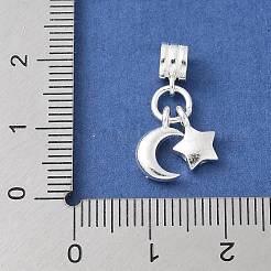 925 Sterling Silver European Dangle Charms&nbsp;STER-H115-01S