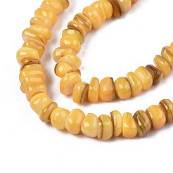 Natural Trochid Shell/Trochus Shell Beads Strands&nbsp;SHEL-S258-081-B11