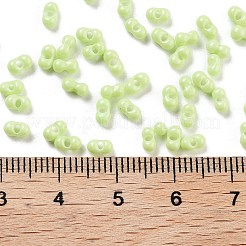 Baking Paint Glass Seed Beads&nbsp;SEED-A033-05S