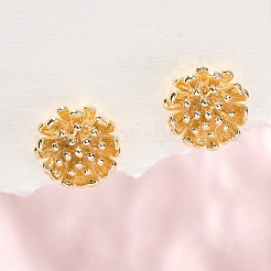 Brass Stud Earrings&nbsp;EJEW-Q014-34G