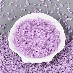 FGB Grade A Frosted Glass Seed Beads&nbsp;SEED-Q040-04A-05