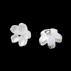 Glass Charms&nbsp;GLAA-G127-05J