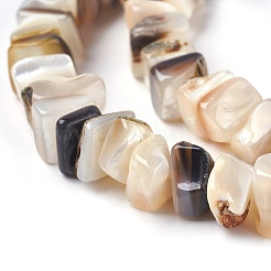 Freshwater Shell Beads Strands&nbsp;BSHE-O017-09
