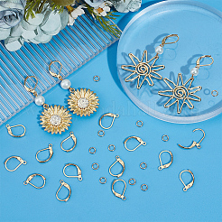 80Pcs 304 Stainless Steel Leverback Earring Findings&nbsp;STAS-SP0001-13
