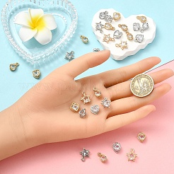 60Pcs 6 STYLES Alloy Charms&nbsp;ZIRC-YW0001-22