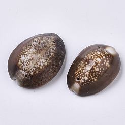 Natural Cowrie Shell Links connectors&nbsp;SSHEL-N034-25