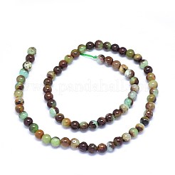 Natural Chrysoprase Beads Strands&nbsp;G-F602-13-6mm