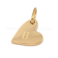 304 Stainless Steel Charms&nbsp;STAS-L291-01G-B