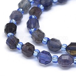 Natural Iolite Beads Strands&nbsp;G-O201B-02