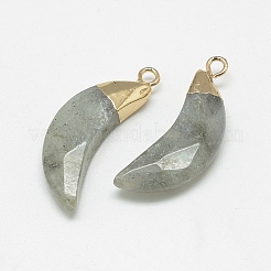 Natural Labradorite Pendants&nbsp;X-G-Q494-80D