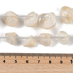 Natural Shell Beads Strands&nbsp;X-SHEL-K009-11
