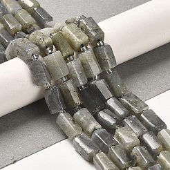Natural Labradorite Beads Strands&nbsp;G-N327-06-06