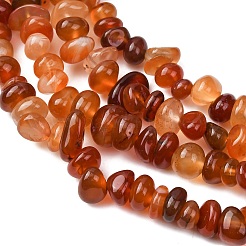 Natural Red Agate Beads Strands&nbsp;G-L655-A01-01B