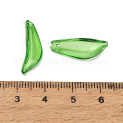 Transparent Acrylic Pendants&nbsp;AC-CBA5040-01J