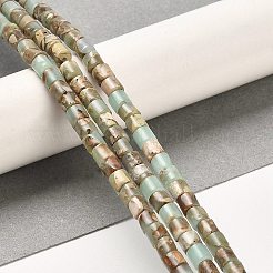 Natural Aqua Terra Jasper Beads Strands&nbsp;G-F765-F03-01