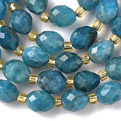 Natural Apatite Beads Strands&nbsp;G-F809-A34-01
