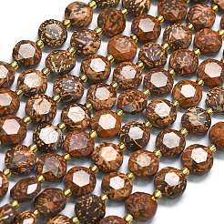 Natural Starburst Jasper Beads Strands&nbsp;G-C116-A136-01