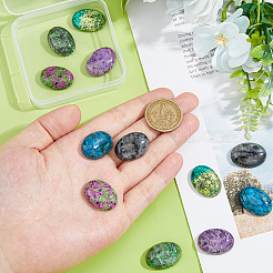 12Pcs 6 Styles Natural Ruby in Zoisite & Sesame Jasper/Kiwi Jasper & Larvikite & Ripple Jasper Cabochons&nbsp;G-FH0002-63B