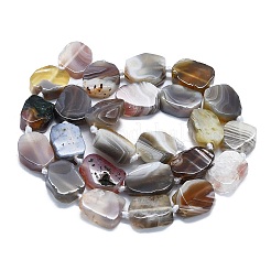 Natural Botswana Agate Beads Strands&nbsp;G-K245-L03-01