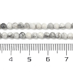 Natural Howlite Beads Strands&nbsp;G-C181-B03-02