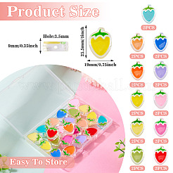 22Pcs 11 Colors Transparent Enamel Acrylic Beads&nbsp;TACR-TA0001-59