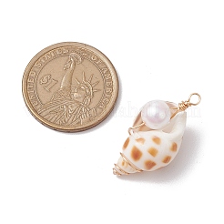3Pcs Natural Shell Pendants&nbsp;PALLOY-JF03226-01