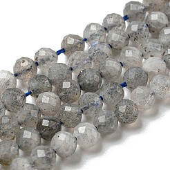 Faceted Round Natural Labradorite Bead Strands&nbsp;G-I156-03-4mm