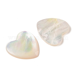 Natural White Shell Cabochons&nbsp;SSHEL-C012-20