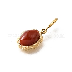304 Stainless Steel Pave Natural Carnelian(Dyed & Heated) Horse Eye Pendant Decoration&nbsp;STAS-H202-23G