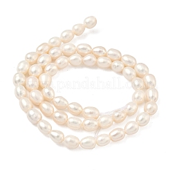 Natural Cultured Freshwater Pearl Beads Strands&nbsp;PEAR-D003-01D-15