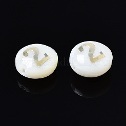 Natural Freshwater Shell Beads&nbsp;SHEL-N003-20-02