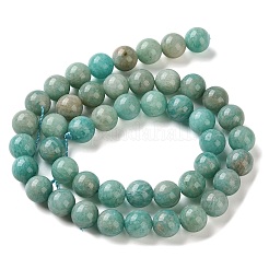 Natural Amazonite Beads Strands&nbsp;G-F602-02-8mm-01