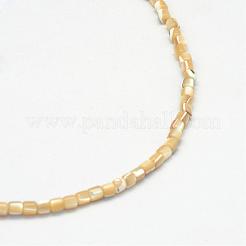 Natural Trochid Shell/Trochus Shell Bead Strands&nbsp;SSHEL-R037-23