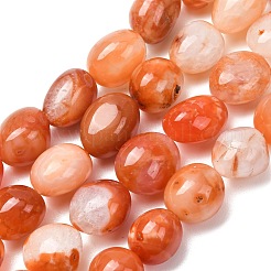 Natural Red Botswana Agate Beads Strands&nbsp;G-G117-A05-06