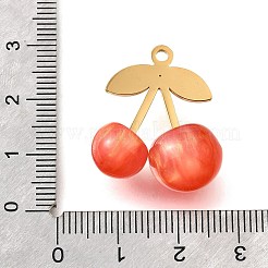 304 Stainless Steel Acrylic Pendants&nbsp;STAS-E549-01G-01