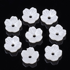 5-Petal ABS Plastic Imitation Pearl Bead Caps&nbsp;OACR-S020-24