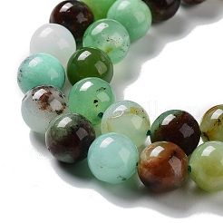 Natural Chrysoprase Beads Strands&nbsp;G-G057-A01-01