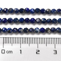 Natural Lapis Lazuli Beads Strands&nbsp;G-Z035-A01-02B