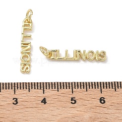 Brass Pendants&nbsp;KK-H256-02G-02
