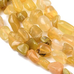Natural Yellow Opal Beads Strands&nbsp;G-P497-01C-37