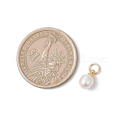 Natural Cultured Freshwater Pearl Rice Charms&nbsp;PALLOY-JF04820