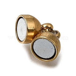 304 Stainless Steel Magnetic Clasps with Loops&nbsp;STAS-F365-04G