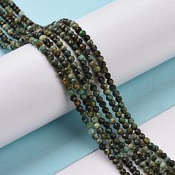 Natural African Turquoise(Jasper) Beads Strands&nbsp;G-P472-02